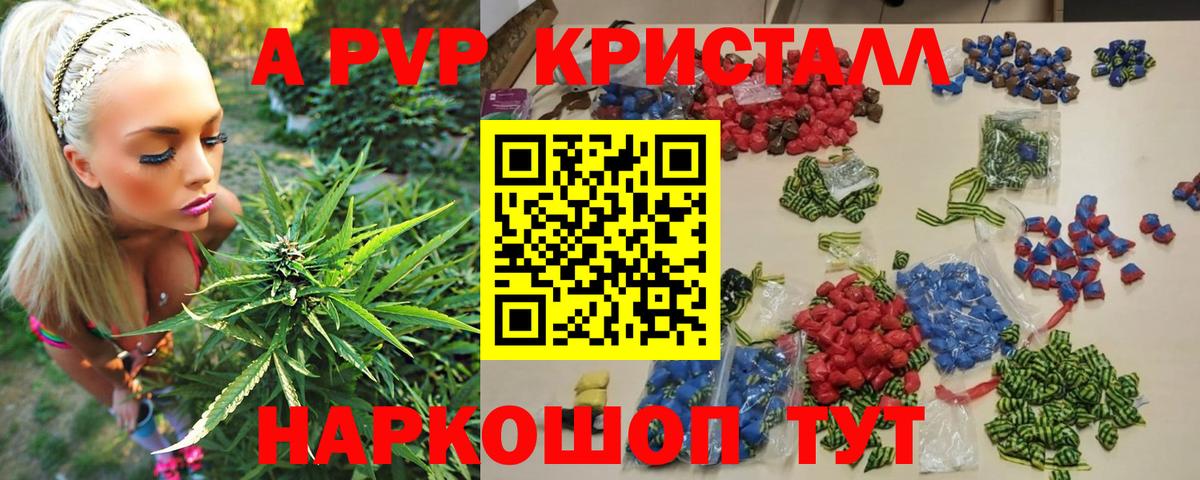 Alfa_PVP СК КРИС Альметьевск
