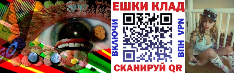 что такое   Альметьевск  shop клад  ЭКСТАЗИ Philipp Plein 