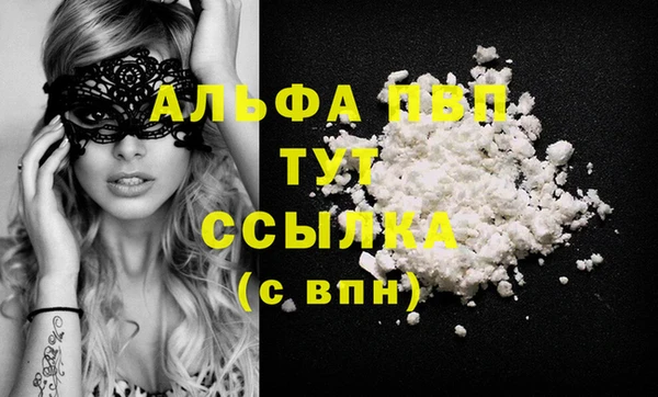 ECSTASY Майский