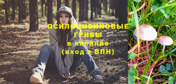 ECSTASY Майский