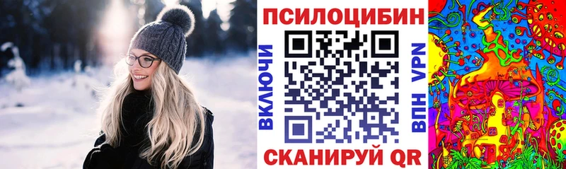 Псилоцибиновые грибы мухоморы  мега вход  Альметьевск 