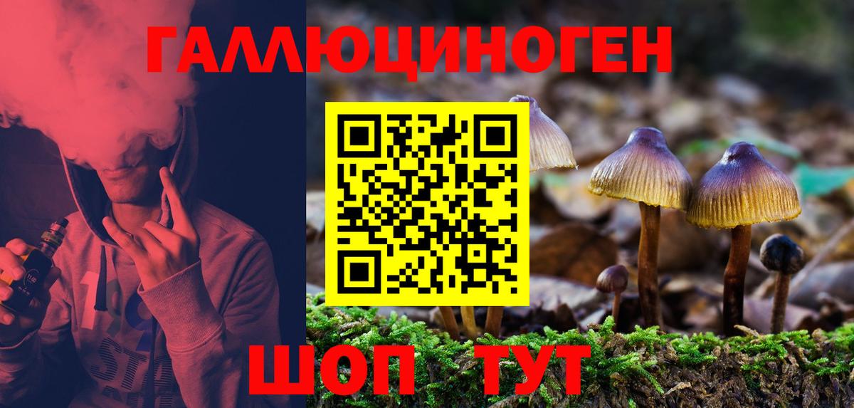 Псилоцибиновые грибы MAGIC MUSHROOMS  Вход с VPN  Галлюциногенные грибы прущие грибы  Альметьевск 