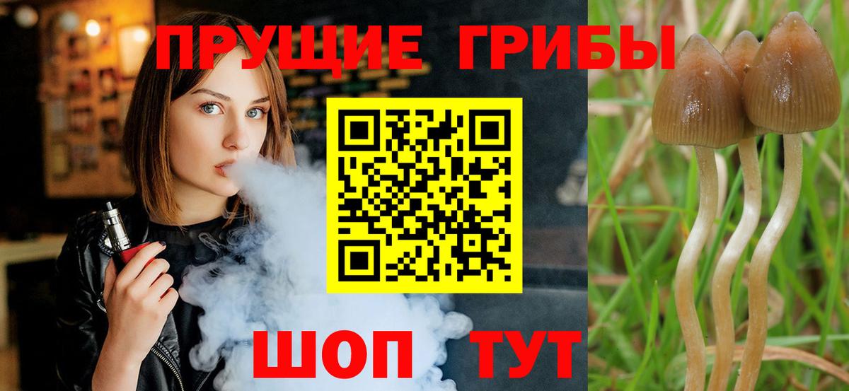 Галлюциногенные грибы MAGIC MUSHROOMS Альметьевск